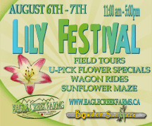 Lily Festival